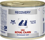 Royal Canin Recovery Cats/Dogs (Роял Канин) в восстановительный период после болезни (195 г)